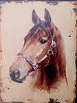 Decoratiebord paard, paardenhoofd, metaal DBP410