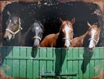 Decoratiebord met 4 paardenhoofden, metaal DBP430