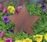 Tuinsteker ster, roestig metaal SS239