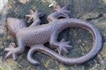 Salamander, gekko, 16 cm. gietijzer    TT03