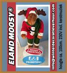 noors winter sprookje aankleding poolwolf huren