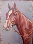 Decoratiebord Paard, Paardenhoofd, Metaal DBP420