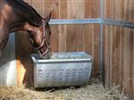 Paarden slowfeeder groot, hooiruif met rantsoenrooster