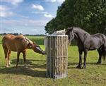 Weide paardenruif voor los hooi