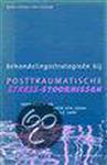 Behandelingsstrategieen bij posttraumatische stress-stoornissen / Cure & care development