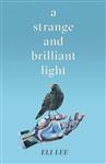A Strange and Brilliant Light: Winner of the Writers’ Guild Best First Novel Award
