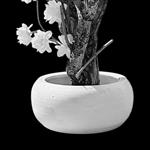 Witte schaal - keramiek -