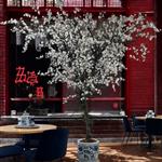 Kunst bloesemboom – Kunstboom – wit - 240cm – Voor binnen – Rituals