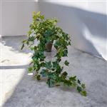 Hedera Plant - hangplant - kunstplant - Ivy - 80cm