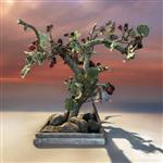 Bonsai - Kunstboom - Zwarte Moerbei - Morus Nigra - 30cm