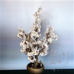 Kunst bloesemboom - Kunstboom - WIT - 75cm - Voor Binnen - Nieuwe Fluffy