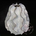Stoere keramiek vaas - crème wit - 25cm