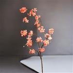 Bloesemtak - peach -