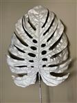 Groot zilver blad - Monstera blad - Gatenplant blad -
