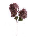Hortensia - SheepHead - 70cm - Oud roze -