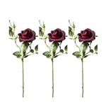 Combi deal - Rode roos - 3 stuks - 60 cm