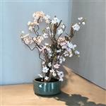 Kunst bloesemboom - Kunstboom -50cm - zacht /wit - Voor binnen - Kerselaar