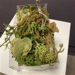 Bedekking - gedroogde en kunst materialen -