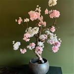 Kunst Bloesemboom 55cm – Donker Roze & Zacht Roze – Cherry Blossom – Op Echt Hout – Voor Binnen