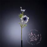 Anemoon Blauw