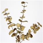 Eucalyptus - 55cm -