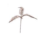 Varenblad - roze goud - 65cm - Metallic -