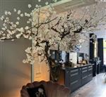 Kunst bloesemboom