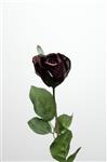 Roos - knop - diep bordeaux rood - 45cm -