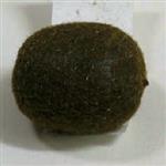 Kiwi bruin groen