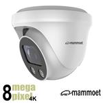 2e kans: Mammoet 8MP/4K IP dome camera - slimme detectie  - motorzoom  - 25m nachtzicht | MAMDM1K