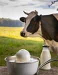 Boerderij-IJs Concept: 5 Geheimen voor Succes
