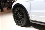 Range Rover Evoque Velgen 20