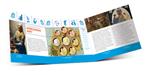 Nederland BU 2015 World Money Fair