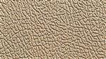 Nautifloor Leather Texture Pure Earth
