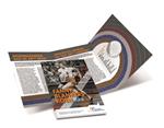 Nederland 5 Euro 2018 Fanny Blankers-Koen Zilver Proof