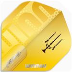 Winmau Prism Zeta Bobby George Flights