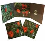 Griekenland 5 Euro 2019 Tulp 'Tulipa Goulimya'