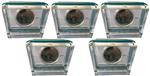 Duitsland 5 Euro 2020 Polaire Zone set van 5 Proof
