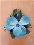 Blue Peacock Flower.