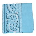 Bandana in Baby Blue.