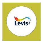 Levis Ambiance Lak Mojito 5451 Satin - 0,75 Liter