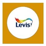 Levis Ambiance Mur Extra Mat Pickles 3665 - 1 Liter