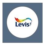 Levis Ambiance Lak Orkaan 6717 MAT - 0,75 Liter