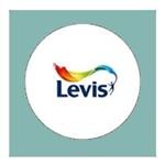 5 x Levis Ambiance Lak Turkse Steen 6416 Satin - 0,75 Liter