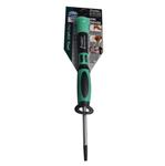 Torx T15 schroevendraaier