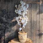 Kunst Bloesemboom - kunstboom - 110cm - wit - voor binnen - ** Fluffy **