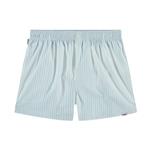 Blue Doubles Boxer