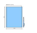 Donald Duck als fakkeldrager