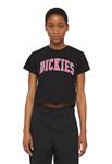 Dickies Aitkin Crop T-Shirt Dames Zwart