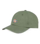 Dickies Hardwick 6-Panel Baseballpet Donkergroen